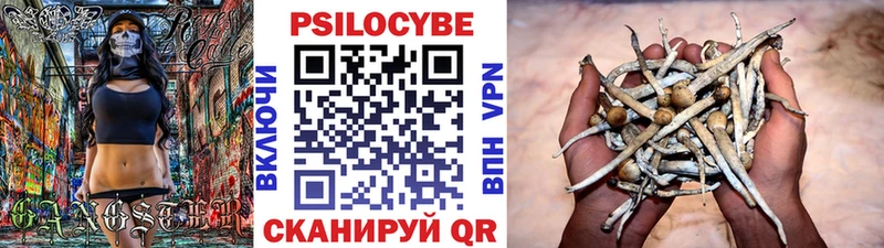 Галлюциногенные грибы MAGIC MUSHROOMS  МЕГА   Осташков 